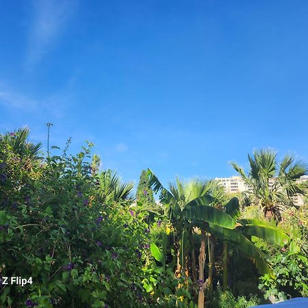 Deluxe Studio Athos 50 Mp Garden Patio Benalmadena Golf & Beach 외부 사진