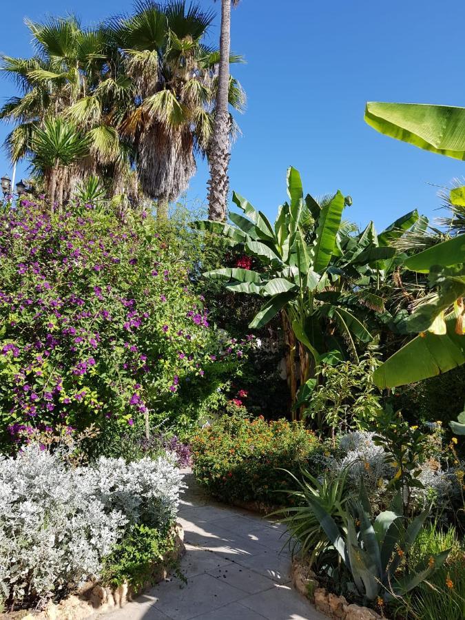 Deluxe Studio Athos 50 Mp Garden Patio Benalmadena Golf & Beach 외부 사진