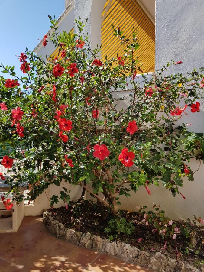 Deluxe Studio Athos 50 Mp Garden Patio Benalmadena Golf & Beach 외부 사진
