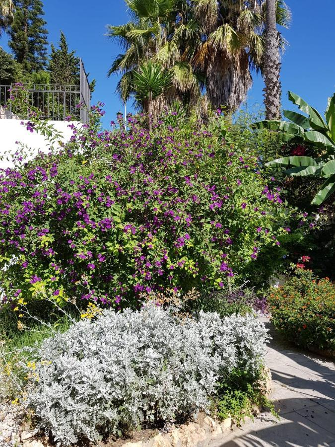 Deluxe Studio Athos 50 Mp Garden Patio Benalmadena Golf & Beach 외부 사진