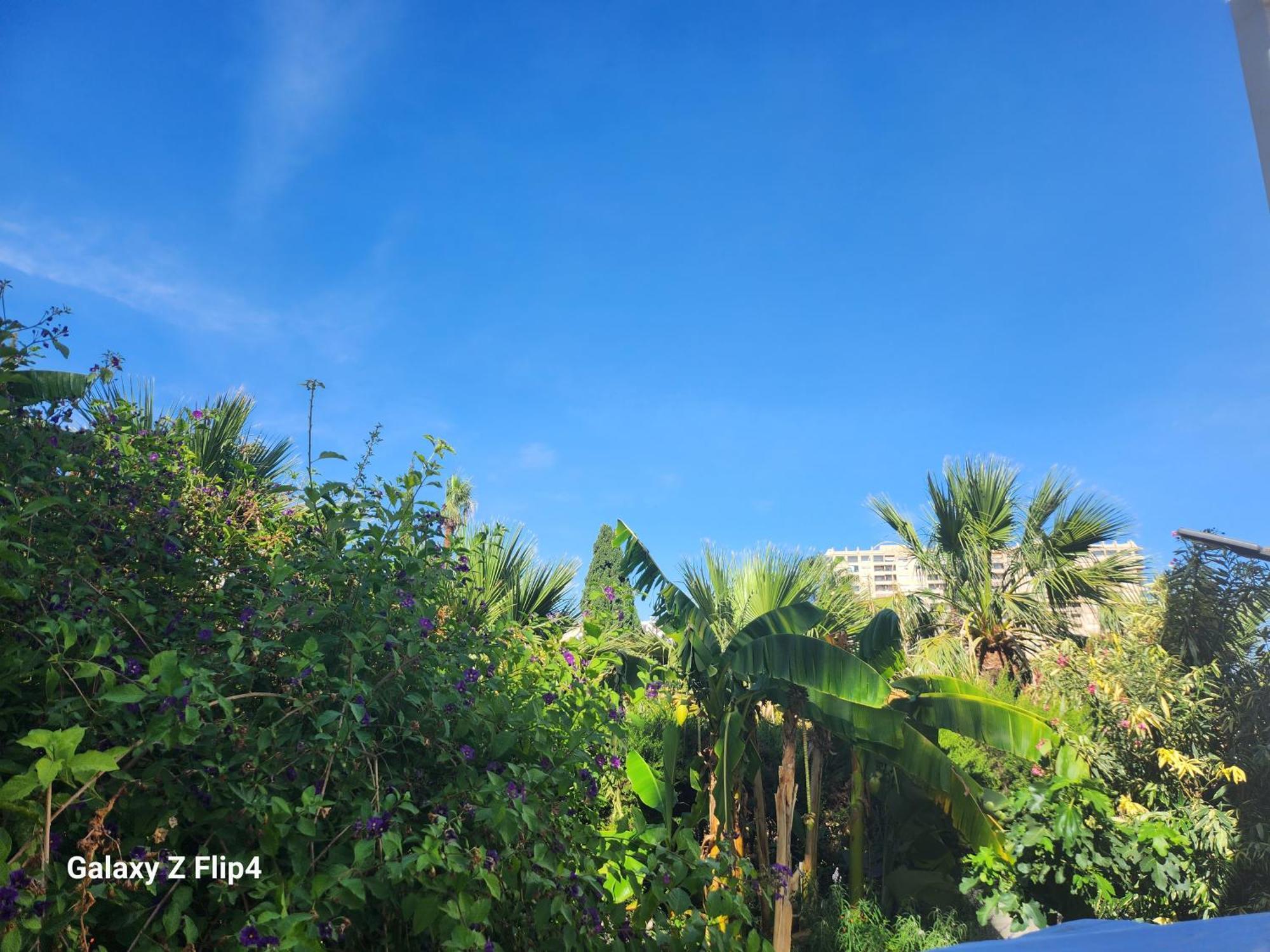 Deluxe Studio Athos 50 Mp Garden Patio Benalmadena Golf & Beach 외부 사진
