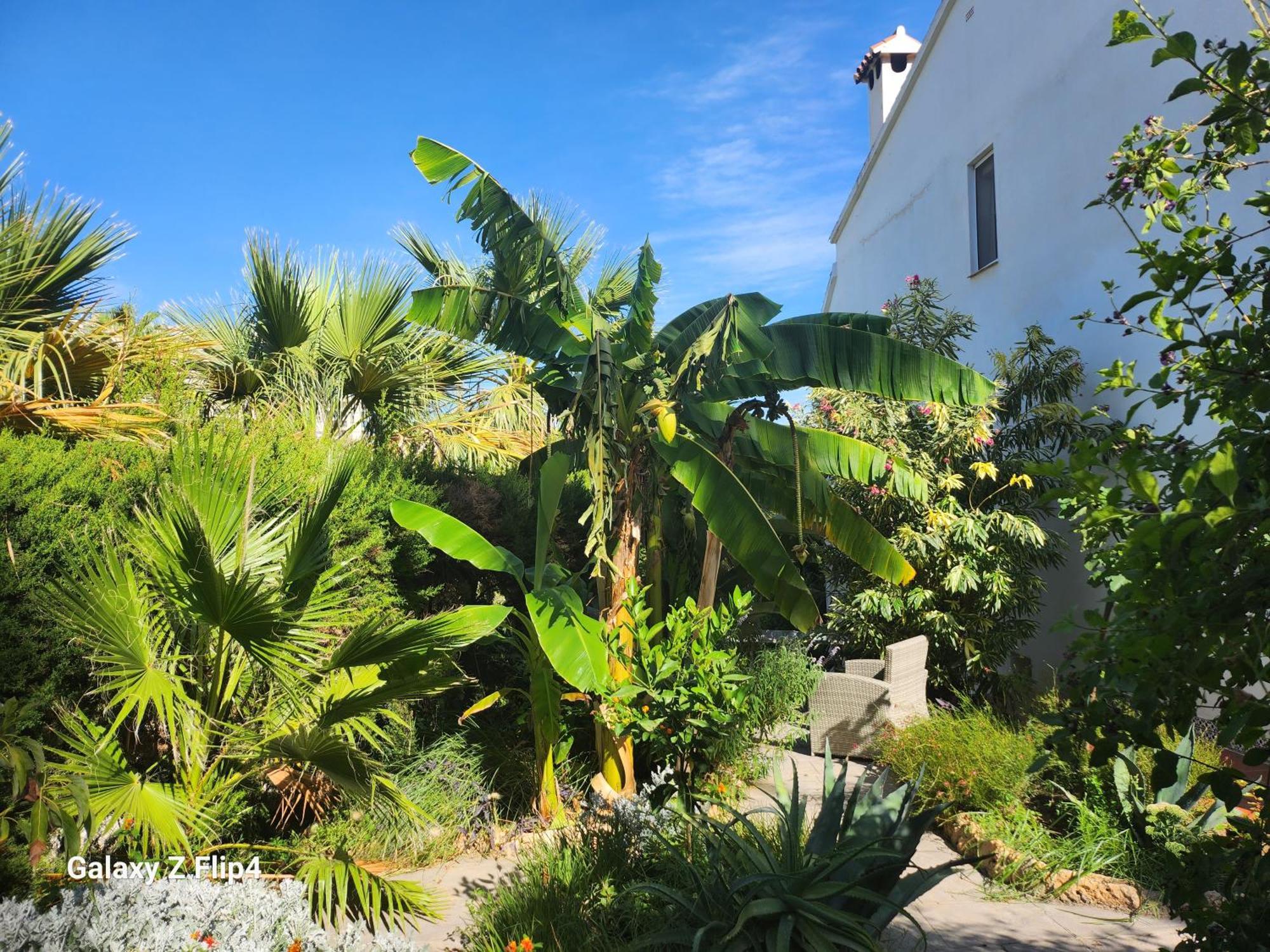 Deluxe Studio Athos 50 Mp Garden Patio Benalmadena Golf & Beach 외부 사진
