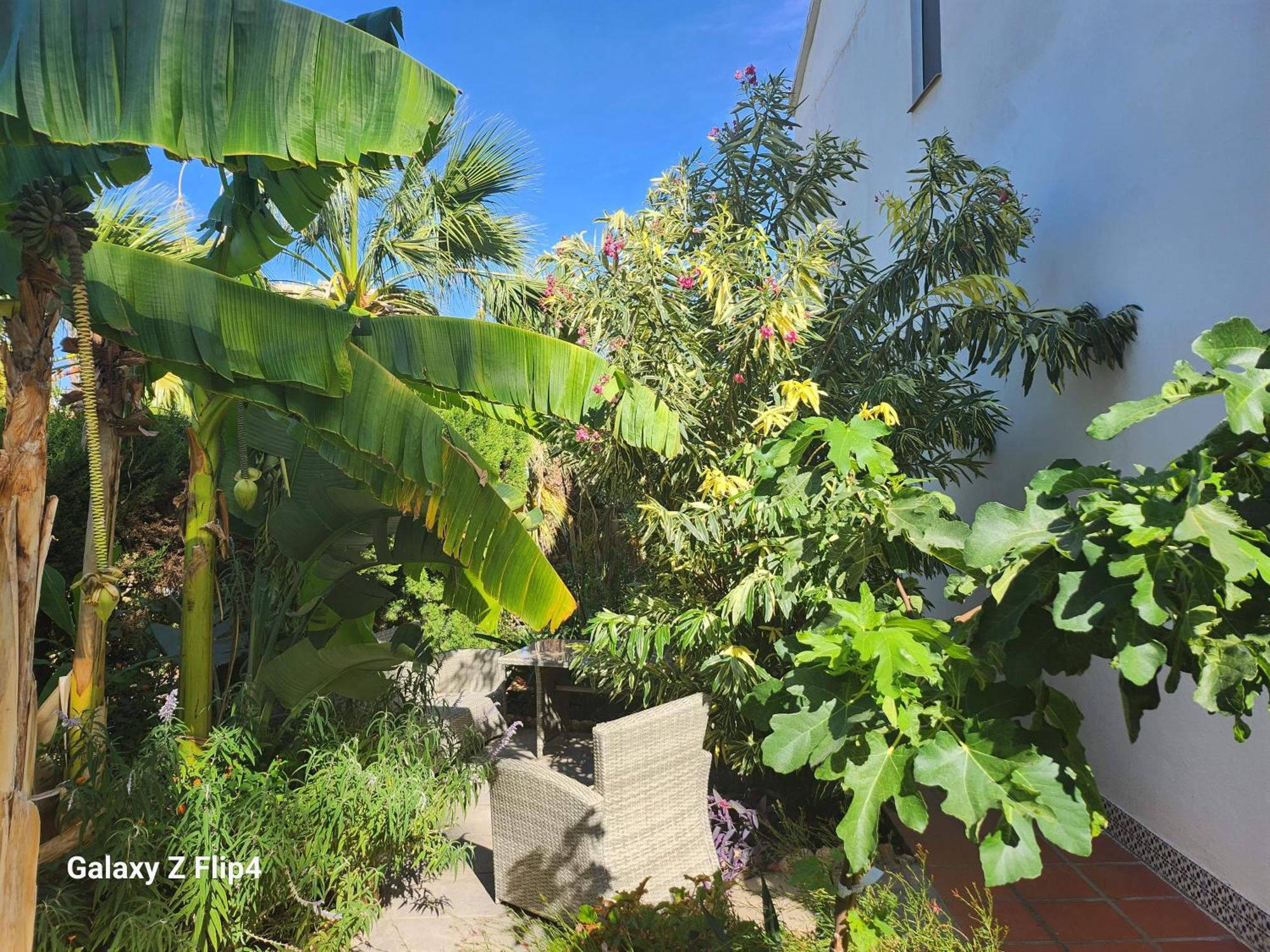 Deluxe Studio Athos 50 Mp Garden Patio Benalmadena Golf & Beach 외부 사진