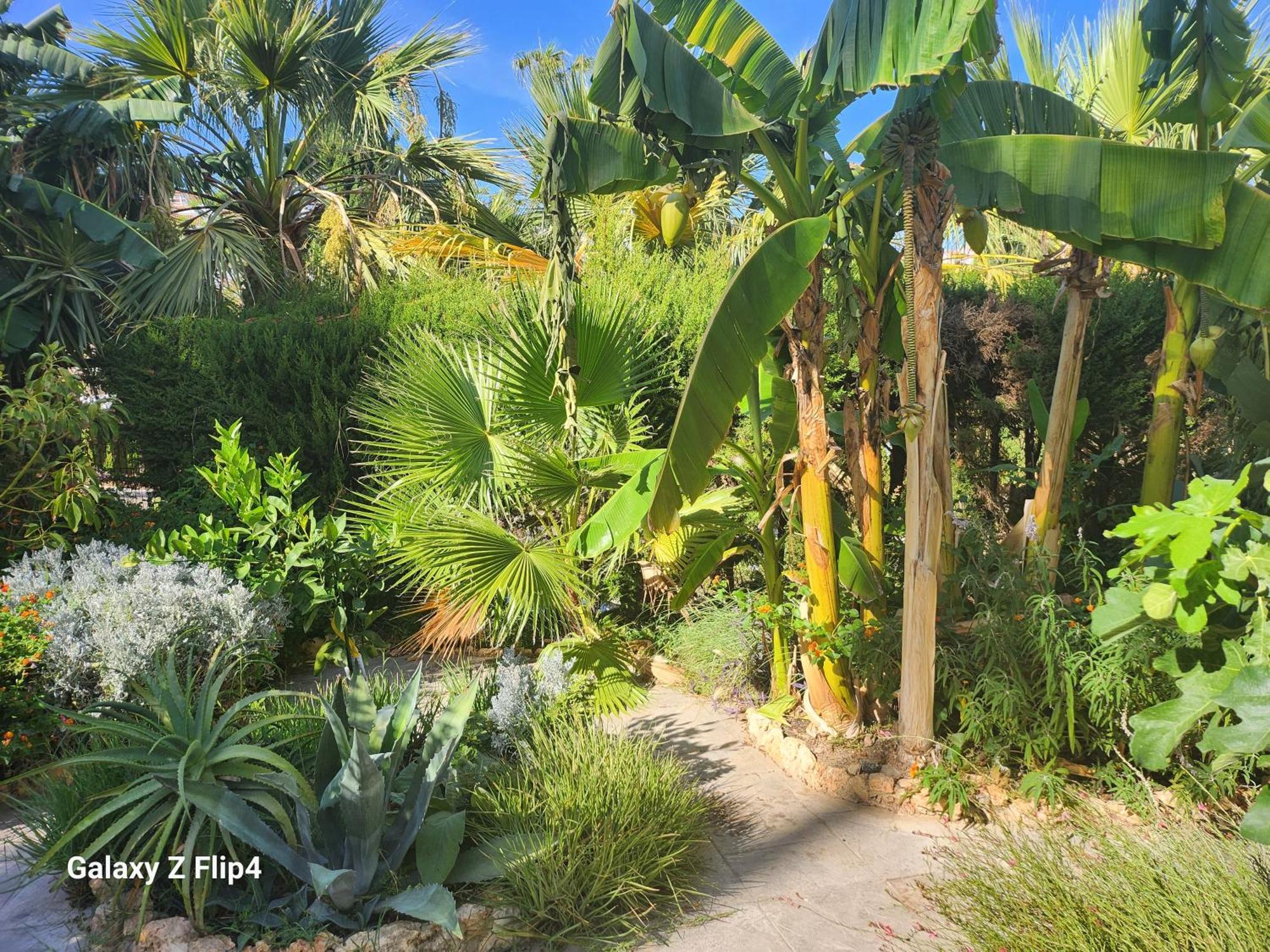 Deluxe Studio Athos 50 Mp Garden Patio Benalmadena Golf & Beach 외부 사진