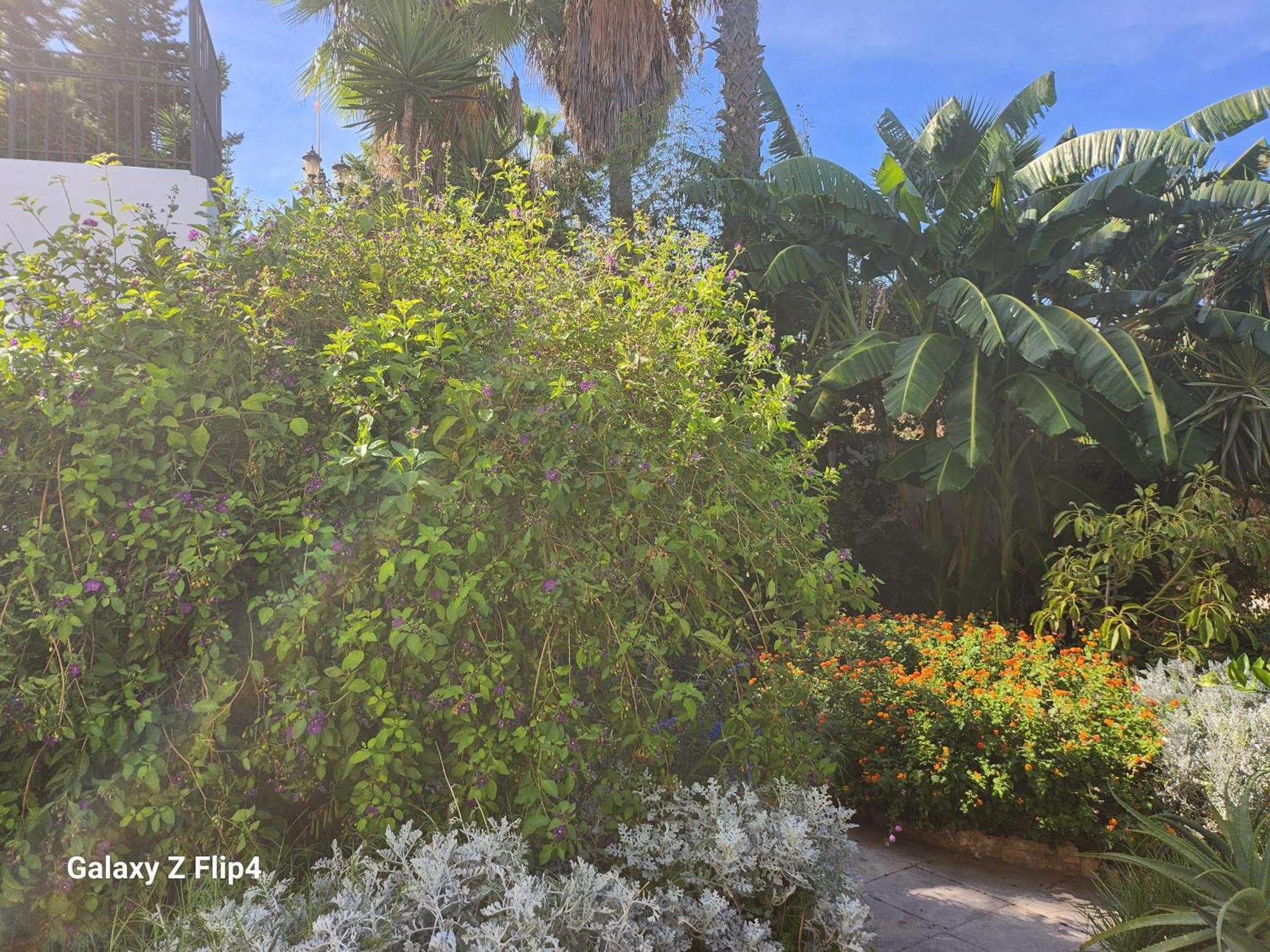 Deluxe Studio Athos 50 Mp Garden Patio Benalmadena Golf & Beach 외부 사진